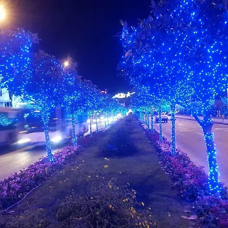 Fotini Epavlis *